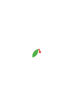 Demet Lilyum